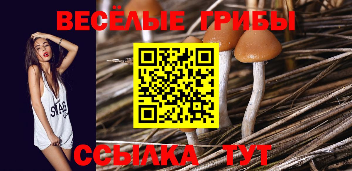Псилоцибиновые грибы Magic Shrooms Людиново
