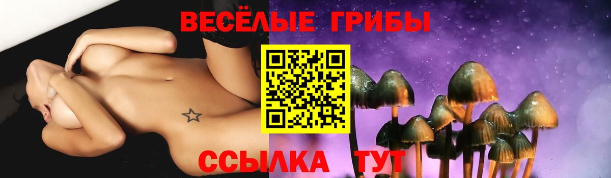 Людиново  Псилоцибиновые грибы мухоморы  Галлюциногенные грибы ЛСД  Вход с VPN 